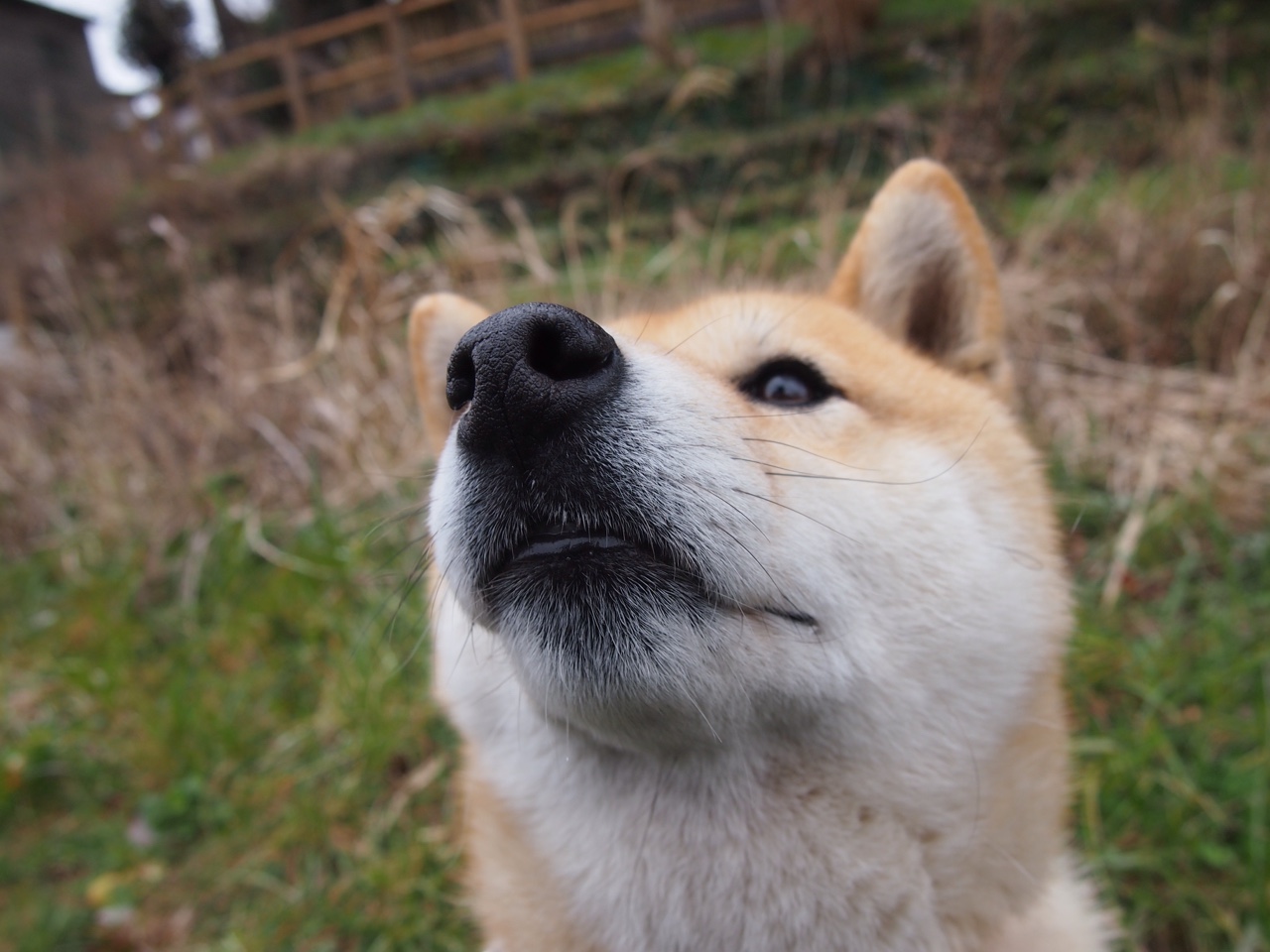 “全景成像、AR直播:科技让观赛体验变得更加沉浸和智能”,ar全景和vr全景区别