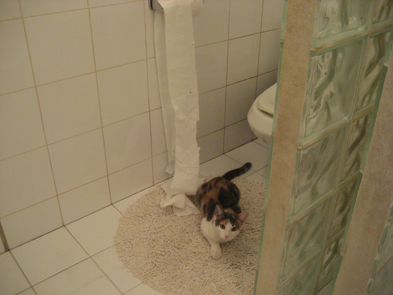 九游娱乐-《王者荣耀冠军争夺，黑马强势崛起引发轰动》，王者荣耀游戏冠军