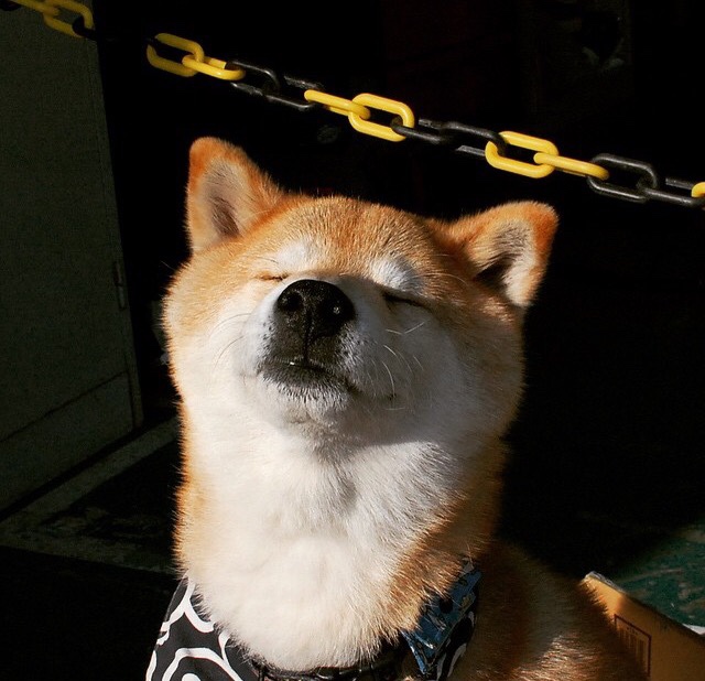 九游娱乐(jiuyou)官网-全国滑板锦标赛，人气运动新星崭露头角，全国滑板锦标赛2020在哪看